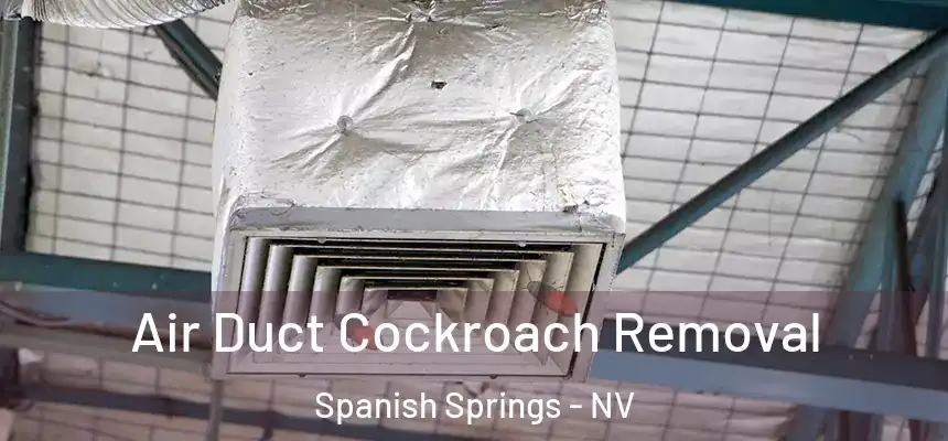  Air Duct Cockroach Removal Spanish Springs - NV