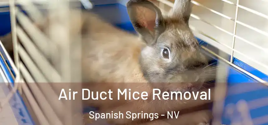  Air Duct Mice Removal Spanish Springs - NV