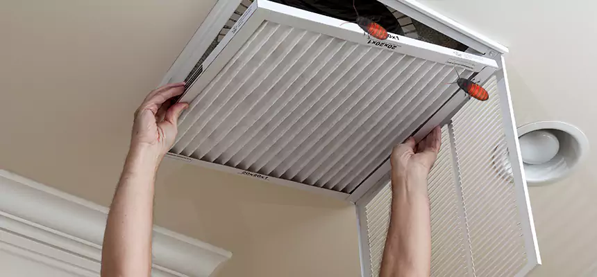 Preventive Cockroach-Proofing for Ducts in Spanish Springs