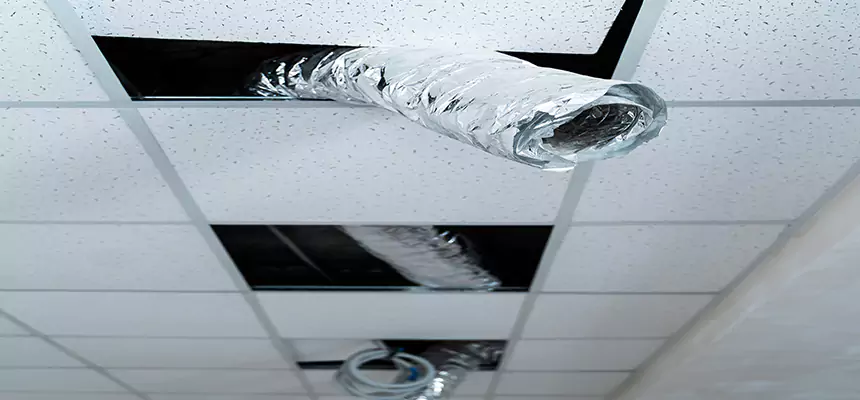 Our Air Duct Pet Hair Removal Services in Spanish Springs, NV