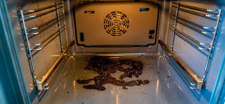 Our Dryer Vent Mold Cleaning Services in Spanish Springs, NV