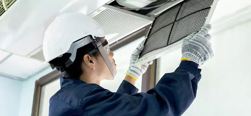 Our Mold & Mildew Removal from Air Ducts Services in Spanish Springs, NV