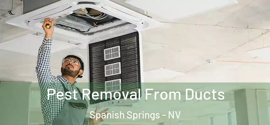  Pest Removal From Ducts Spanish Springs - NV