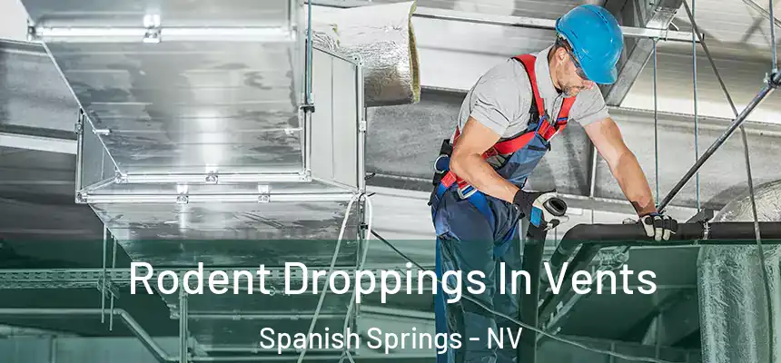  Rodent Droppings In Vents Spanish Springs - NV