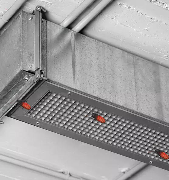 About Air Duct Cockroach Removal in Spanish Springs, NV