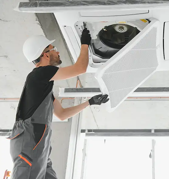 About Air Duct Rodent Removal in Spanish Springs, NV