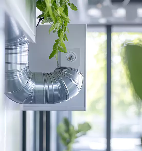 Professional Eco-Friendly Duct Cleaning Services in Spanish Springs, NV