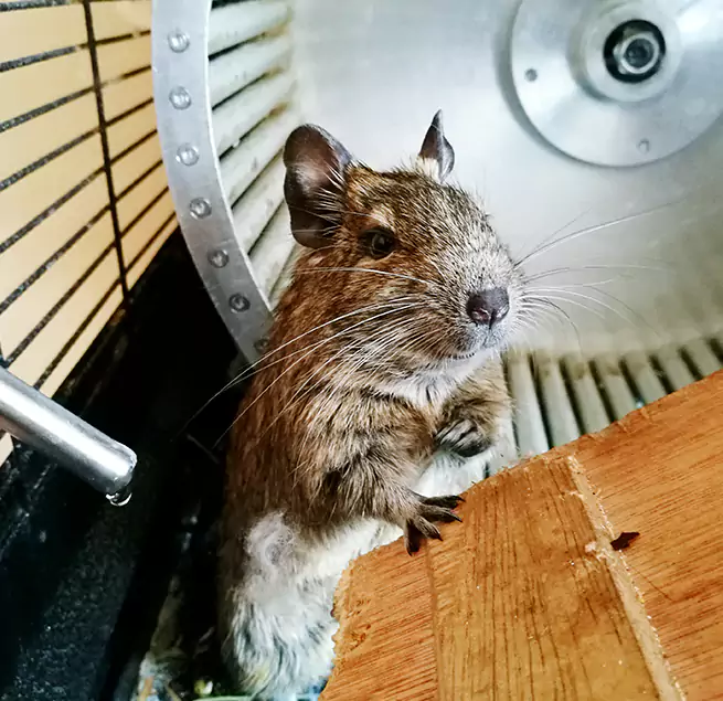 Why Homeowners & Businesses Trust Us Spanish Springs, NV